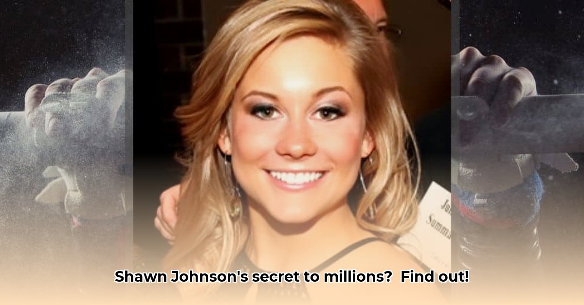 net-worth-of-shawn-johnson